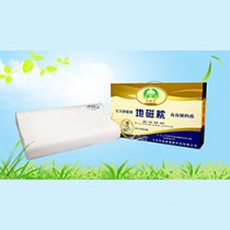 舒磁康學(xué)生地磁枕